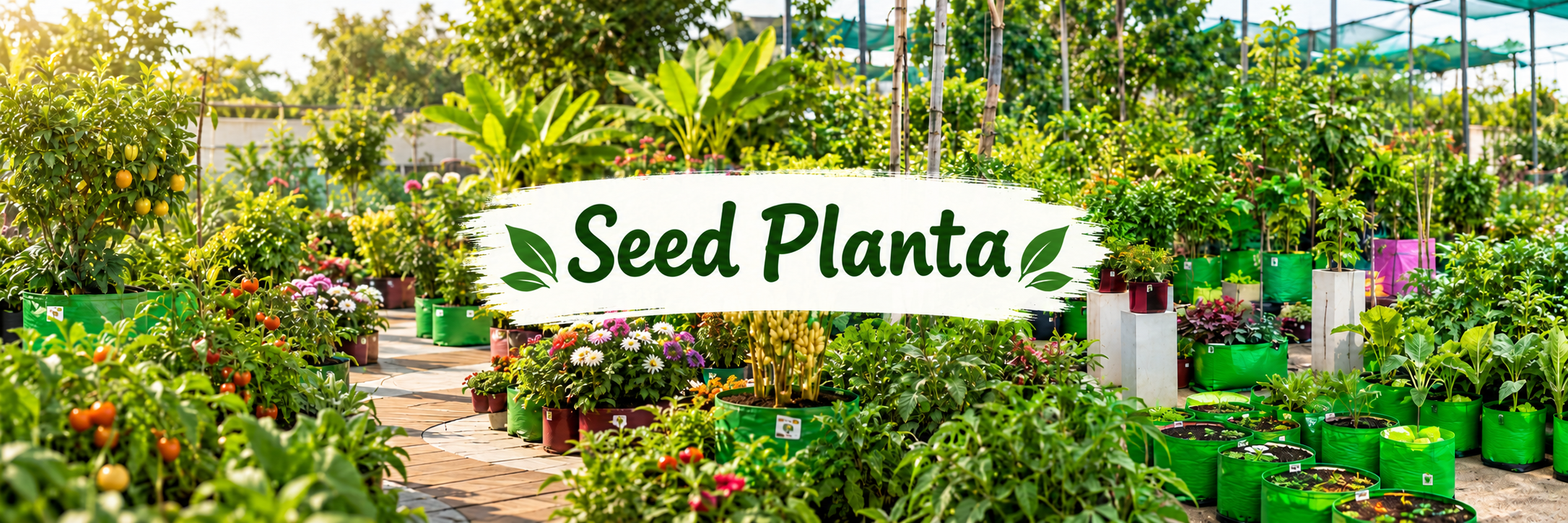 A productive garden filled with vegetables and plants