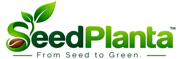 Seeds Bazar